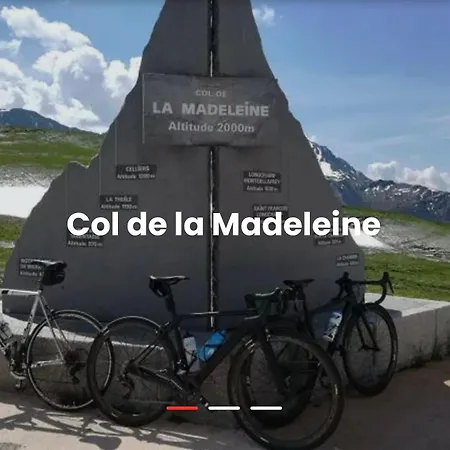 Les Racines Et Les Cimes *